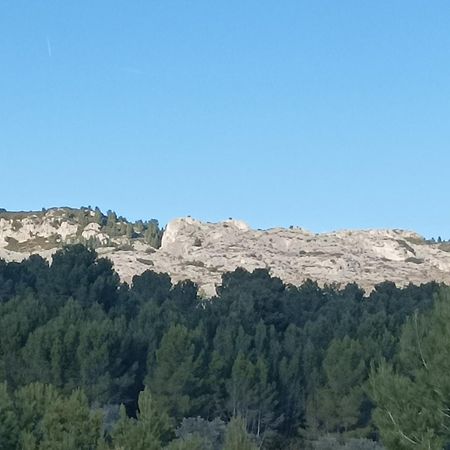 Chambre D'Hote Au Coeur Des Alpilles Mouries Dış mekan fotoğraf