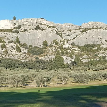 Chambre D'Hote Au Coeur Des Alpilles Mouries Dış mekan fotoğraf