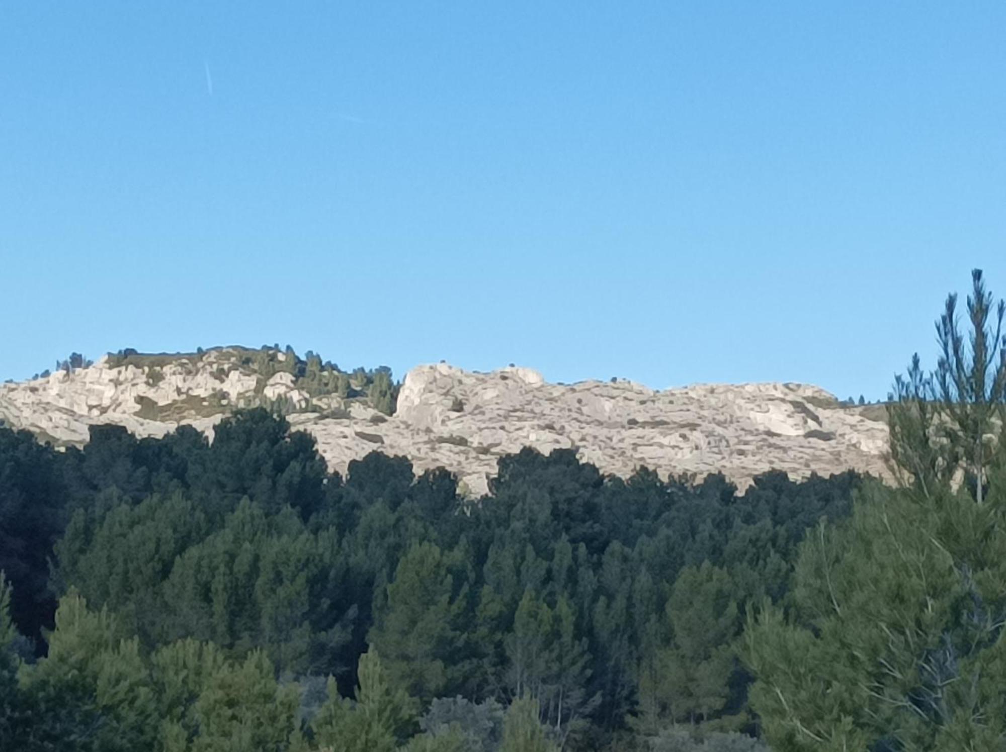 Chambre D'Hote Au Coeur Des Alpilles Mouries Dış mekan fotoğraf
