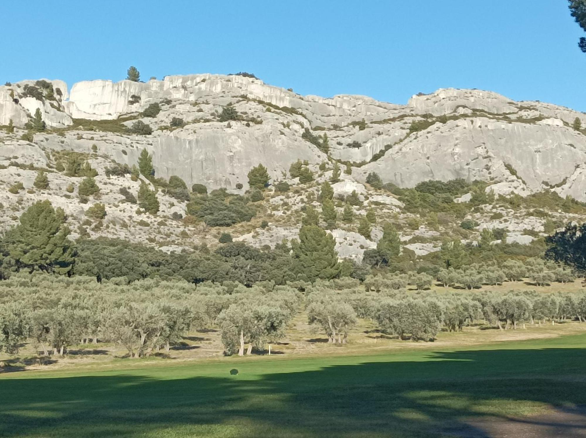 Chambre D'Hote Au Coeur Des Alpilles Mouries Dış mekan fotoğraf